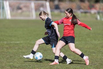 Bild 82 - wBJ VfL Pinneberg - Waldd�rfer SV : Ergebnis: 5:0
